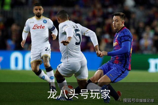 龙八头号玩家公司简介
